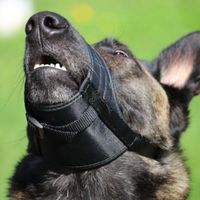 Bozal de Tela Hociquera Regulable para Perros Talla 2