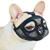 Bozal Tipo Máscara para Perros Ñato de Cara Plana Talla M