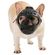 imageUrl_3