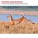 imageUrl_5