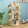 imageUrl_2