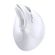 imageUrl_11