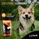 imageUrl_3