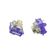 imageUrl_5