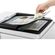 imageUrl_7