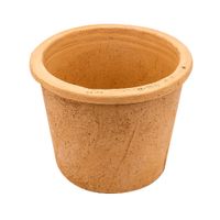 Repuesto Unidad Filtrante parra Purificador de Agua Ecofiltro 1.5L