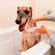 image-d8e513c5b9764a4c8016a3b7868e641b