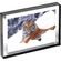 imageUrl_1