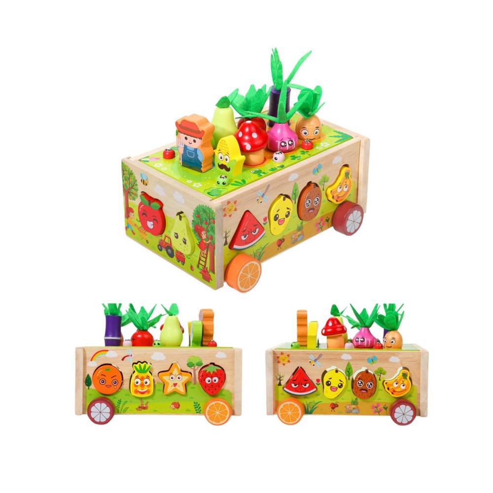 Carro Educativo De Pesca Y Granja Magnética De Madera