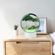 imageUrl_4