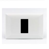 PLACA SIMPLE DE 1 ESPACIO SINTHESI S22 BLANCO