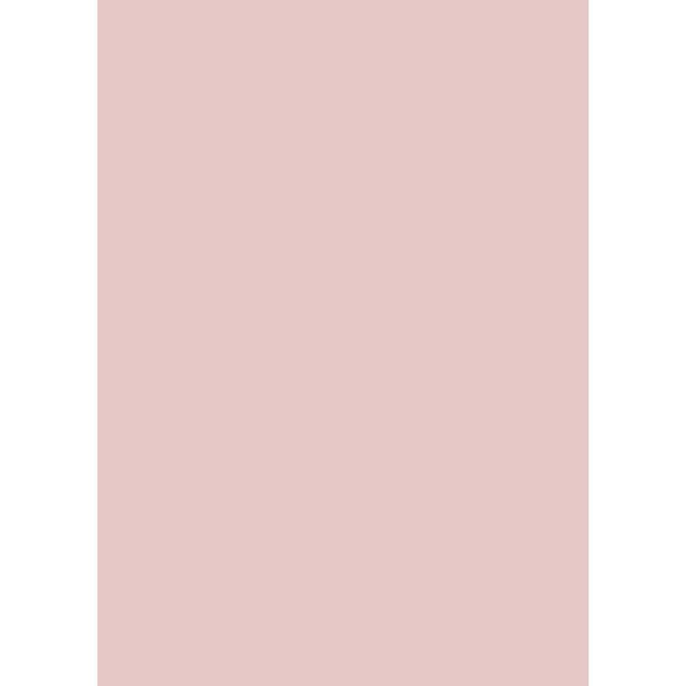 Westcott Solid Color Art Canvas Backdrop with Grommets (5 x 7', Light Red)