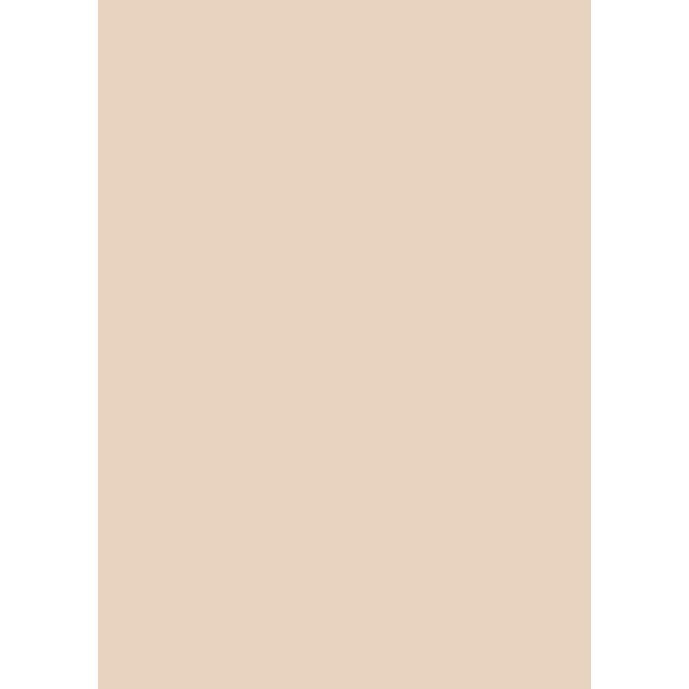 Westcott Solid Color Art Canvas Backdrop with Grommets (5 x 7', Light Orange)