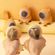 imageUrl_3