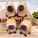 imageUrl_6
