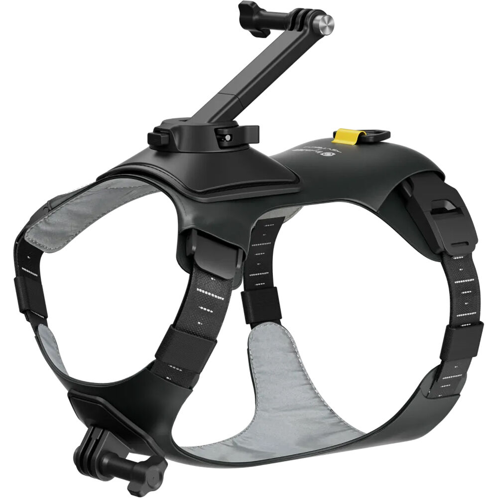 Soporte para Arnés de Mascota Insta360 (Mediano) - Compatible con Cámaras de Acción GO, Montaje Segu