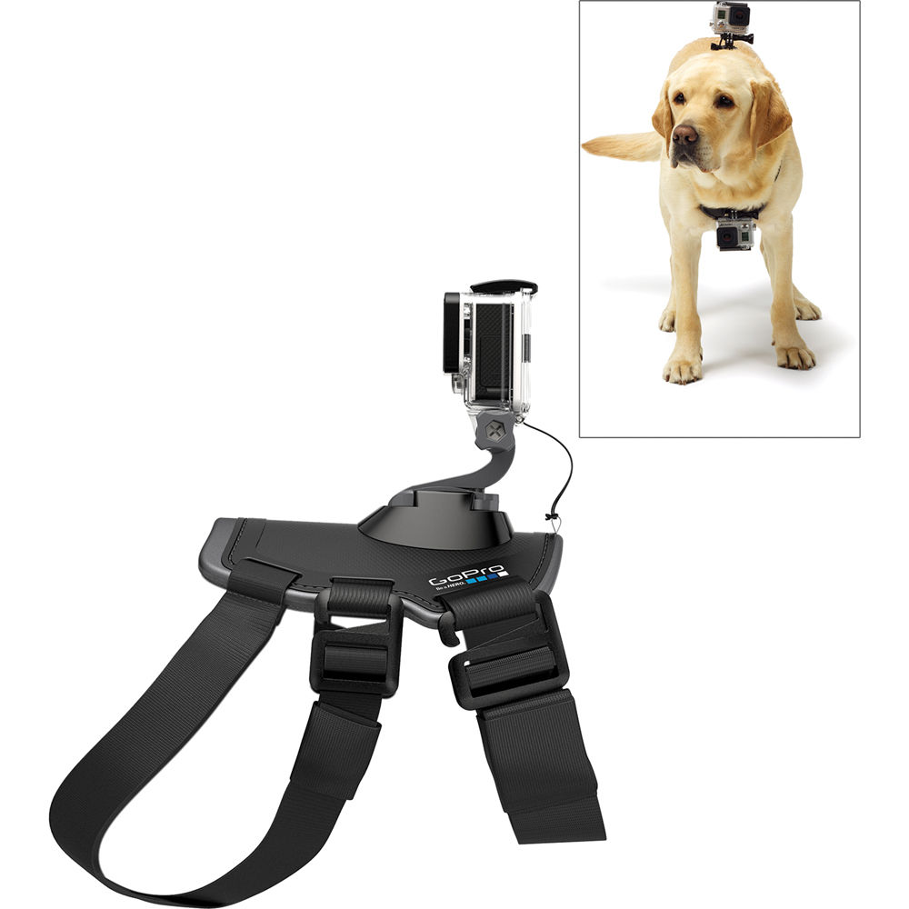 Arnés GoPro Fetch: Graba la Perspectiva de Tu Perro con Comodidad y Seguridad