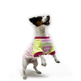 imageUrl_1