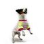 imageUrl_1