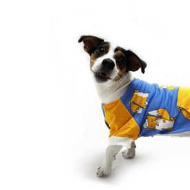 imageUrl_1