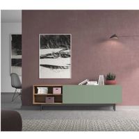 Mueble de TV Moderno Meneses Marrón/Verde 2 Puertas R&R MUEBLES