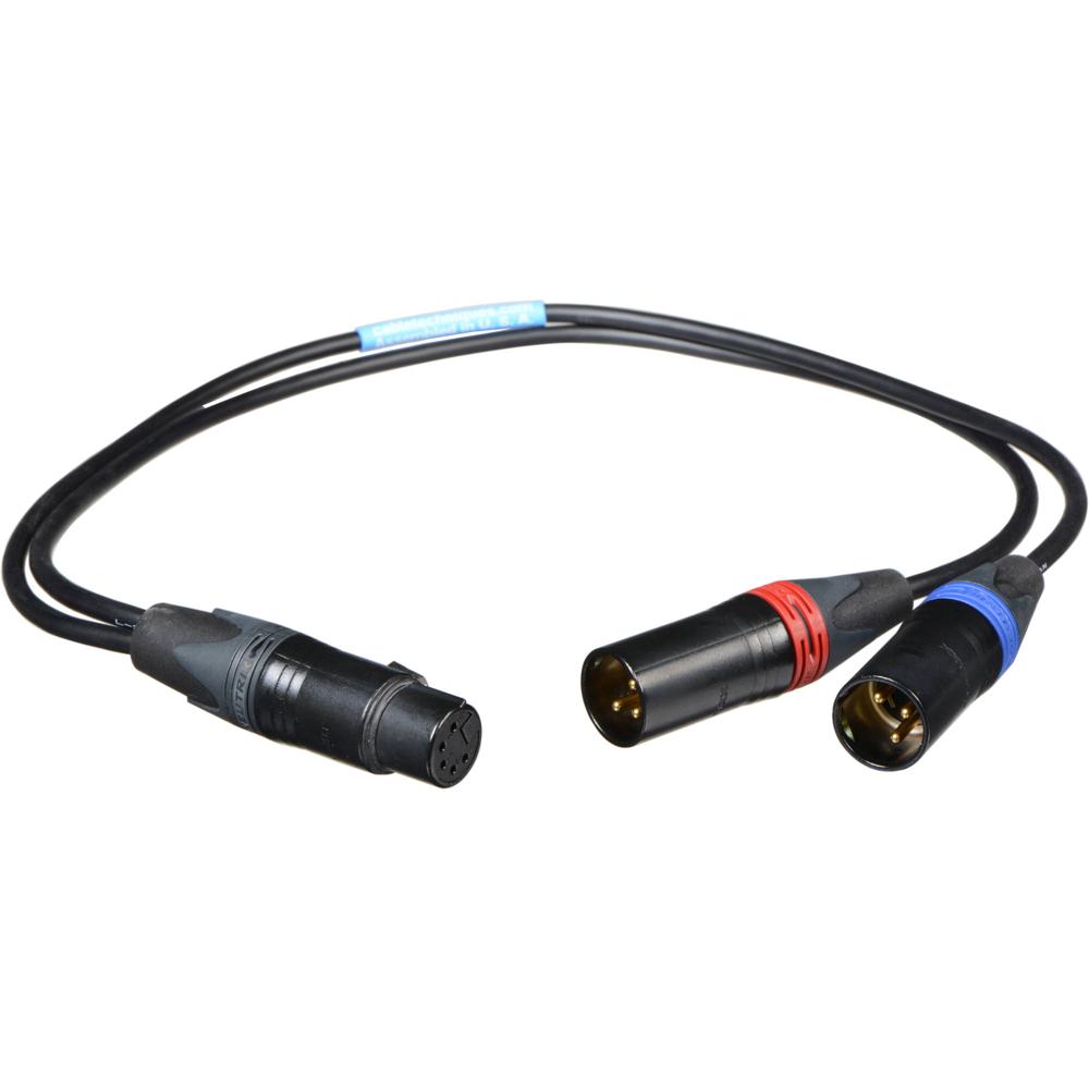 Cable Techniques CT-PYF-18 Y-Cable de Micrófono 18"" (45.72 cm) - Conectores Canare / Neutrik XX, Car