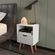imageUrl_2