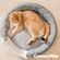 imageUrl_6