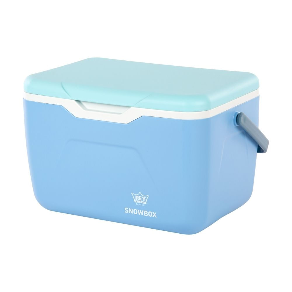 Cooler Poliuretano/PVC Snowbox 10.5 L Reyplast Multicolor