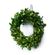 imageUrl_4