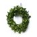 imageUrl_4