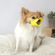 imageUrl_2