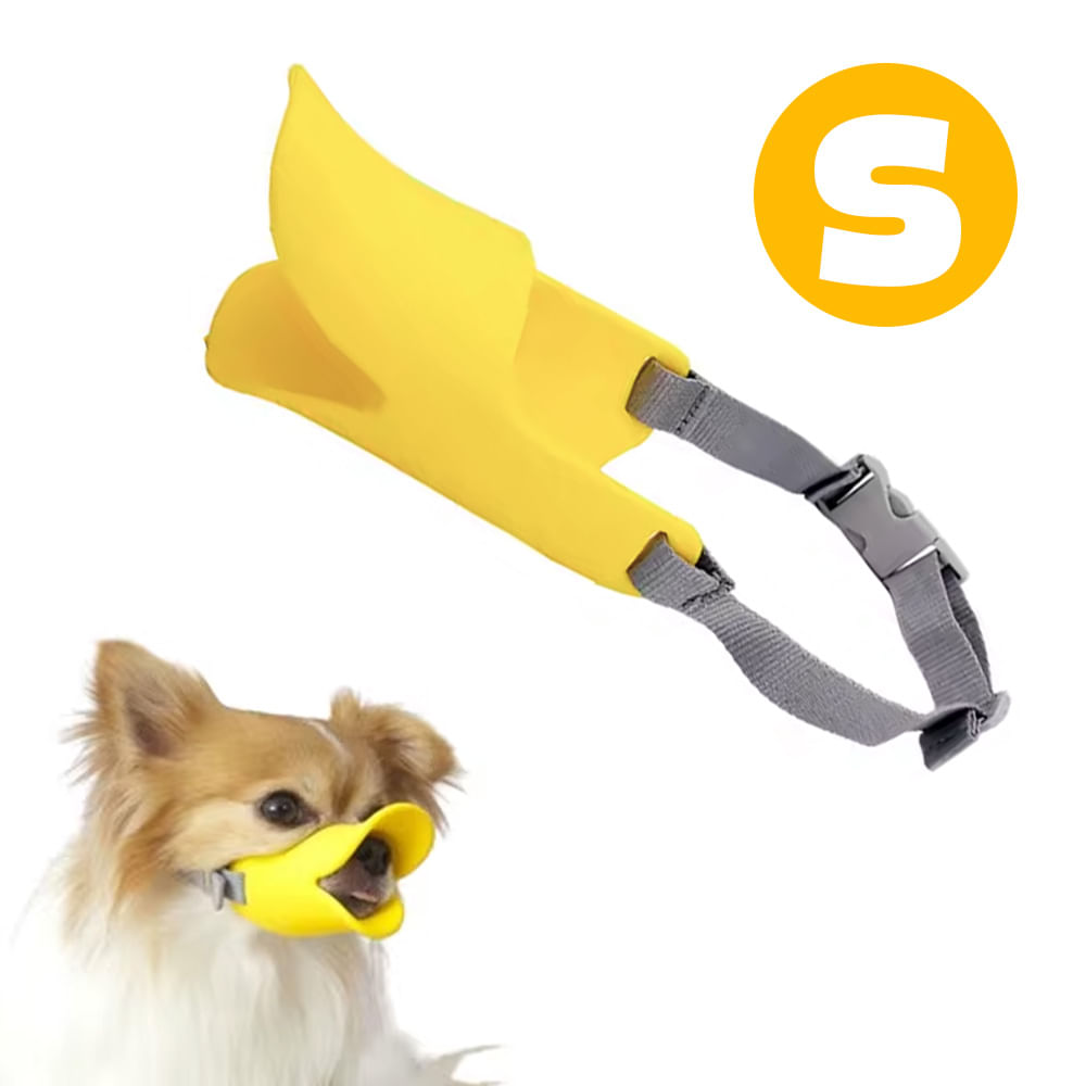 imageUrl_1 imageUrl_1