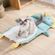 imageUrl_2