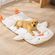 imageUrl_2