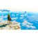 imageUrl_3