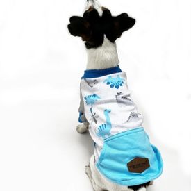 imageUrl_1