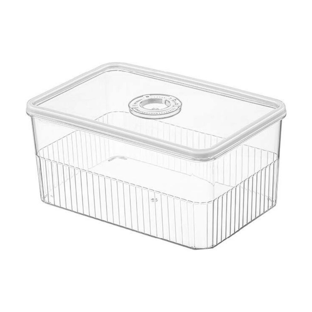 Contenedor refrigeración 24x16cm Orange