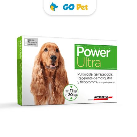 image-078b659ac1564979a4ddb316c16afa35 image-078b659ac1564979a4ddb316c16afa35