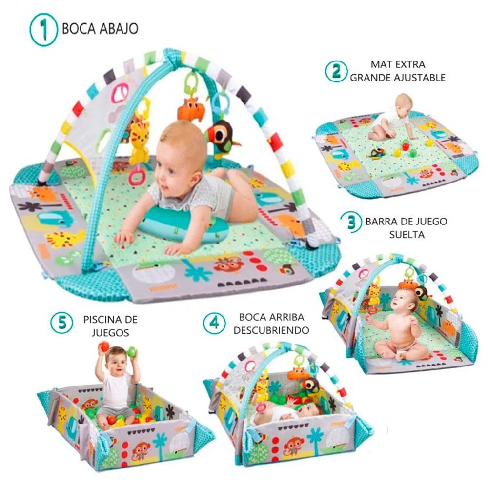 imageUrl_1 imageUrl_1