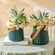 imageUrl_4