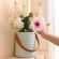 imageUrl_4
