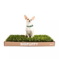 Sanitario Natural Big Puppy Clásico M