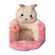 imageUrl_6
