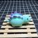 imageUrl_6