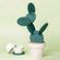 imageUrl_5