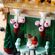 imageUrl_5