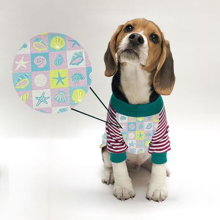 imageUrl_1 imageUrl_1