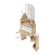 imageUrl_1