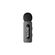 imageUrl_2
